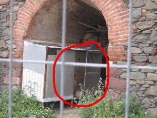 Λέσβος: Βρίσκουν φυσιολογικό να ζει σκυλί σε κλουβί επειδή αλλού υπάρχουν χειρότερα!